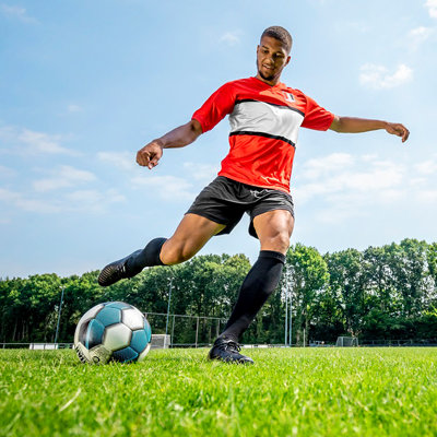 Barenbrug Turf