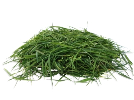 head challenge solutions type of grass