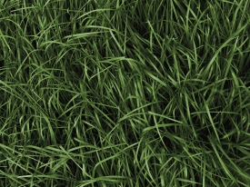 Header nutrifibre mineral efficient