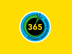 365