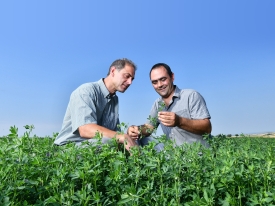 Lucerne France Farmer and Advisor