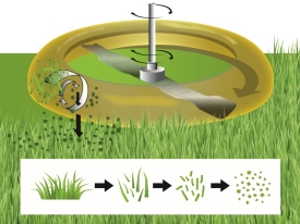 Mulching grass