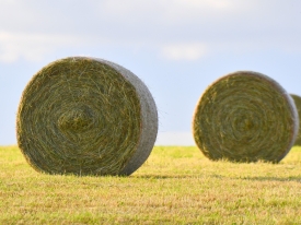Hay Master
