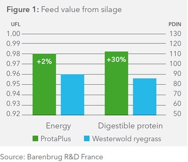 figure 1 Feed vlaue from silage