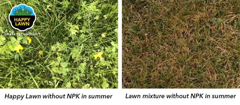 Image-Happy-Lawn-Comp-EN