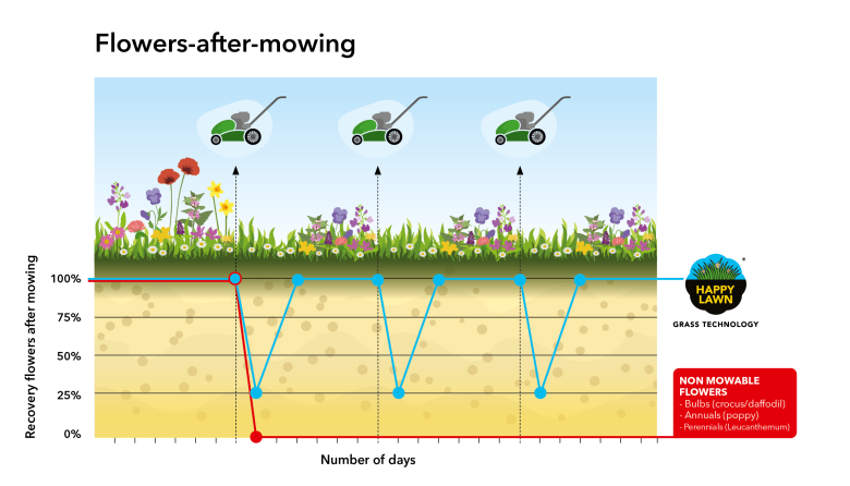 Mowable-flowers-HappyLawn