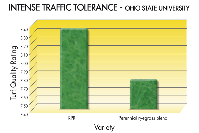 RPR_GRAPH-TRAFFIC-TOLERANCE-ENG