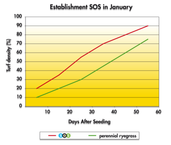 SOS Graph