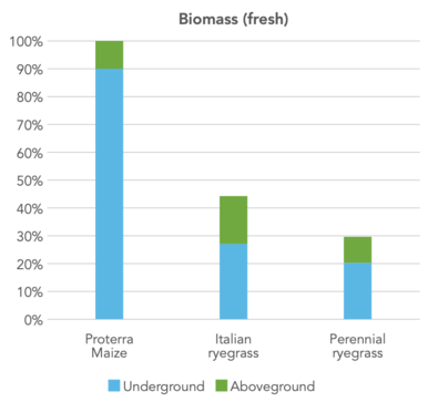 Proterra Maize - Biomass