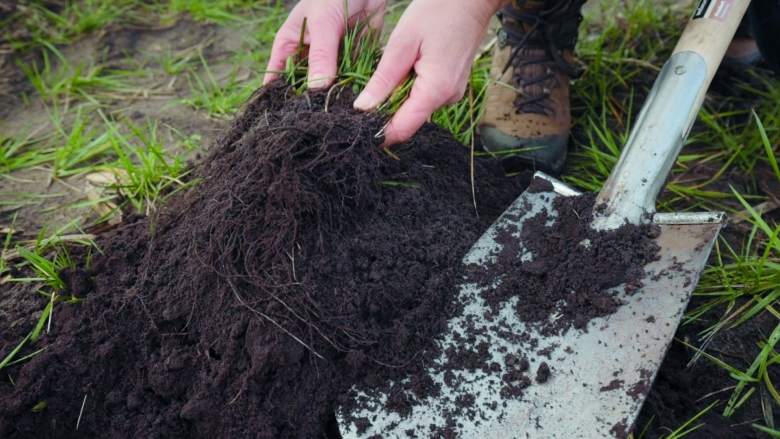 Highest organic matter production with Proterra Maize