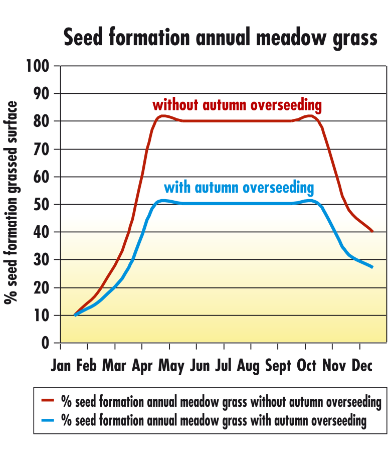 graph seed information poa annua