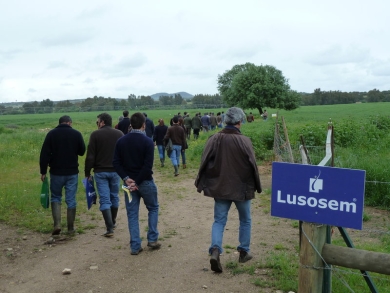 dia campo 9