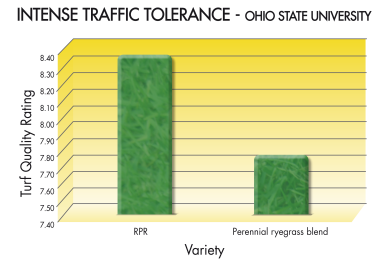 RPR_GRAPH-TRAFFIC-TOLERANCE-ENG