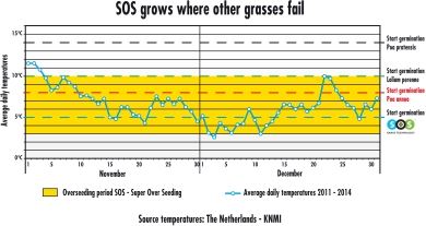 SOS grows where other grasses fail
