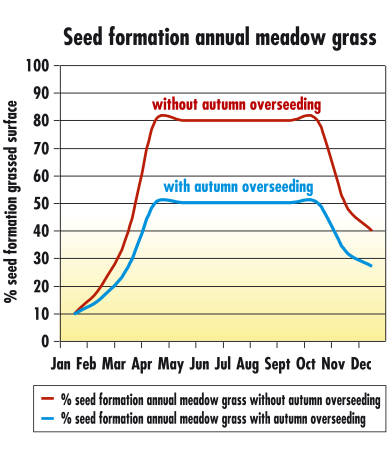 graph seed information poa annua