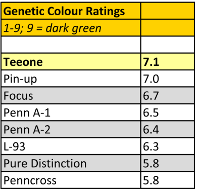 TeeOne Graph