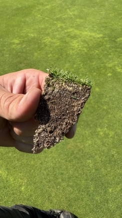 golfbaan Heelsum