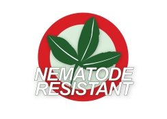 Nematode resistent