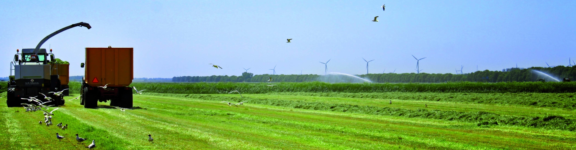 Header nutrifibre drought