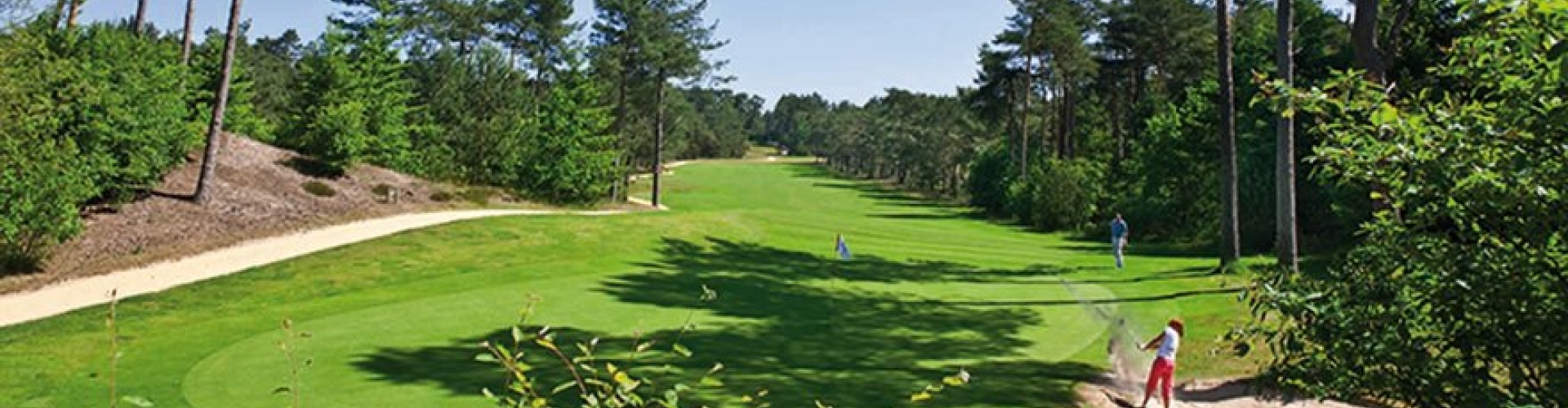 Bar Fescue Plus Header