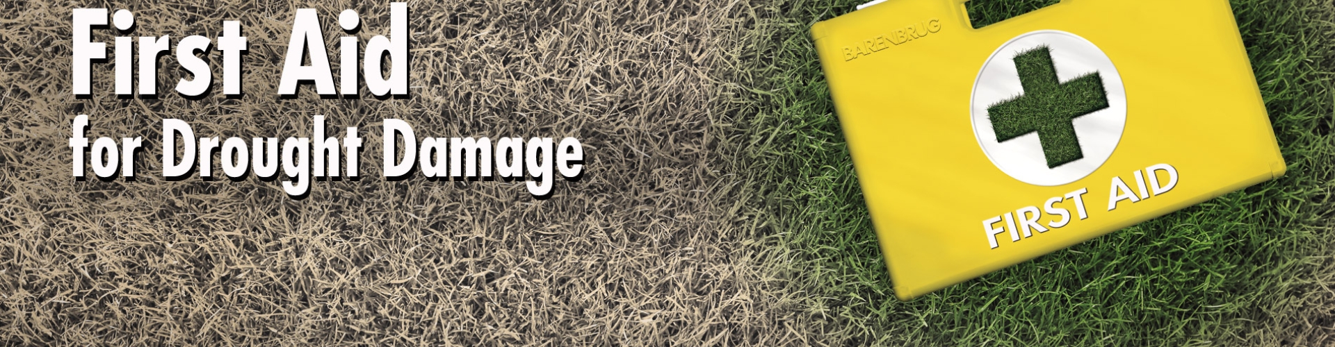 First aid for drought damage