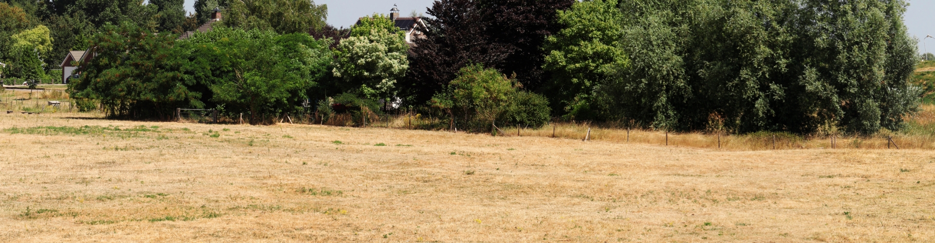 Desiccated horse paddock
