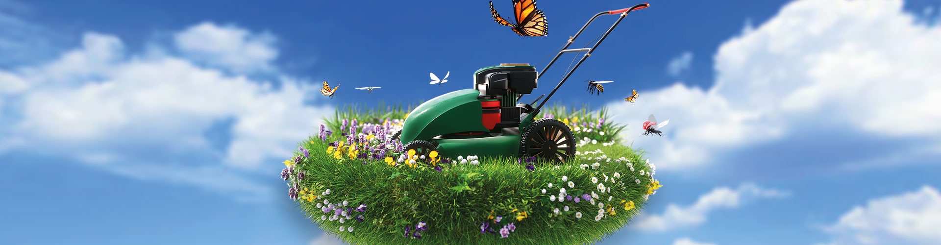 Happy Lawn - Spice up your lawn
