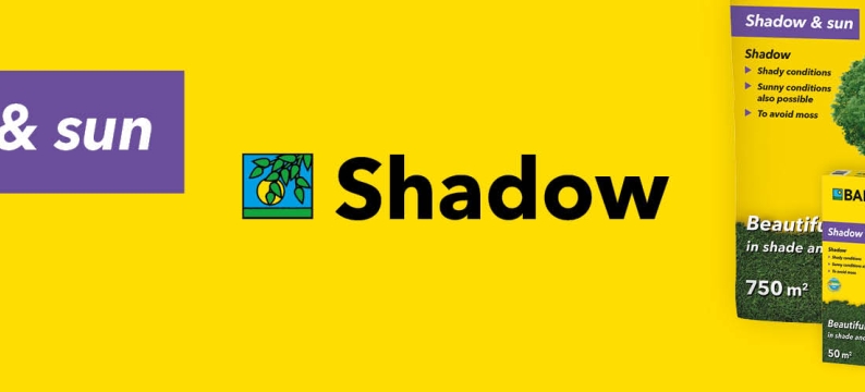 HEADER_Shadow
