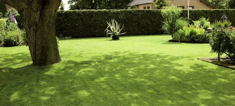 Shadow Header