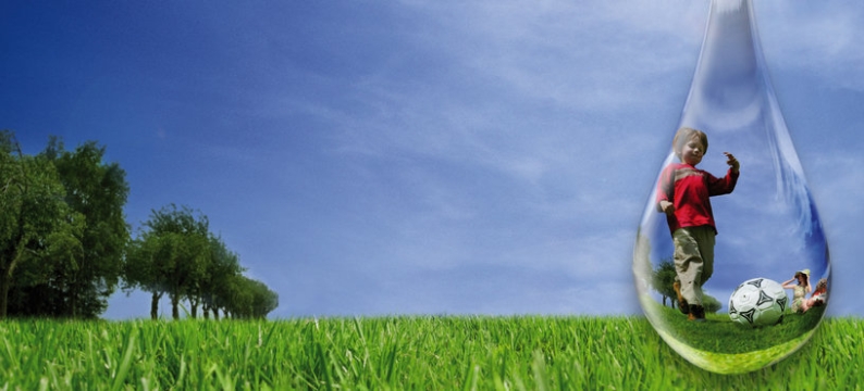 WaterSaver_Lawn Header