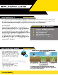 Monza white paper