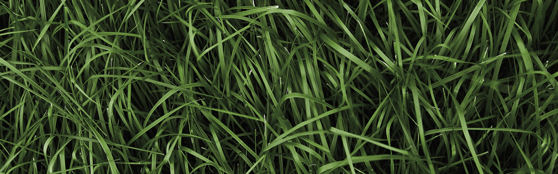 Header nutrifibre mineral efficient