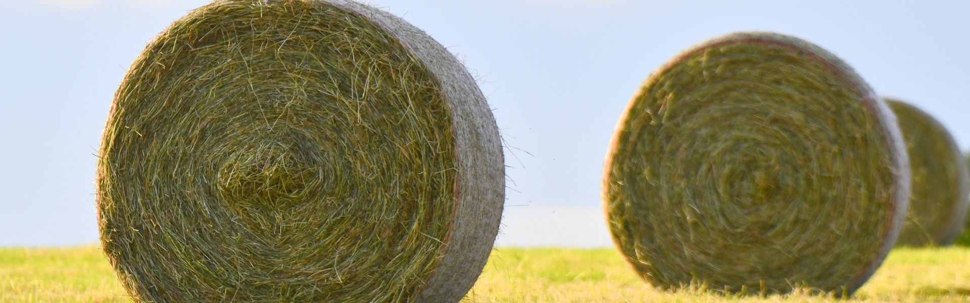 Hay Master