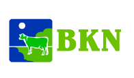 Logo_BKN