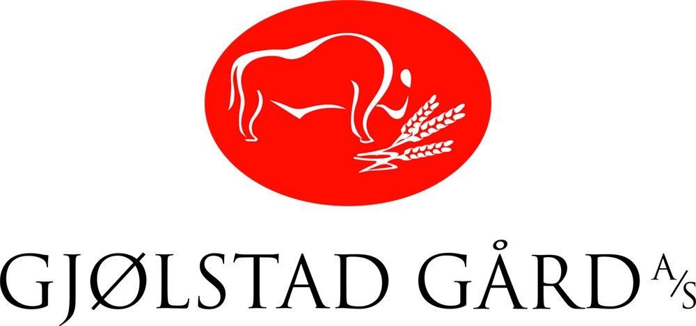 logo gjolstad