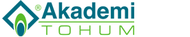 logo akademi