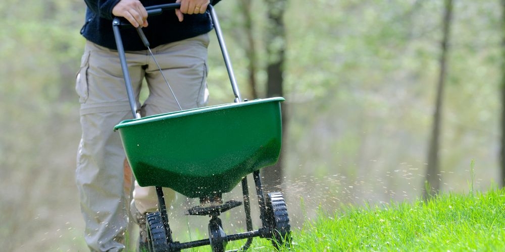 Lawn-Care-Services.jpg