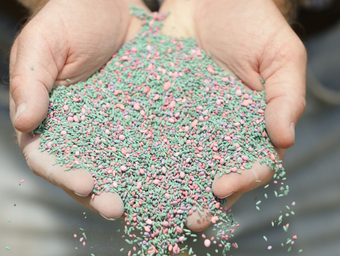 Seed production1