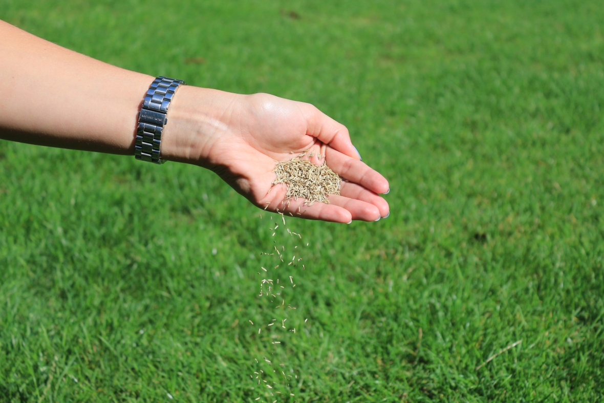 Sowing hand