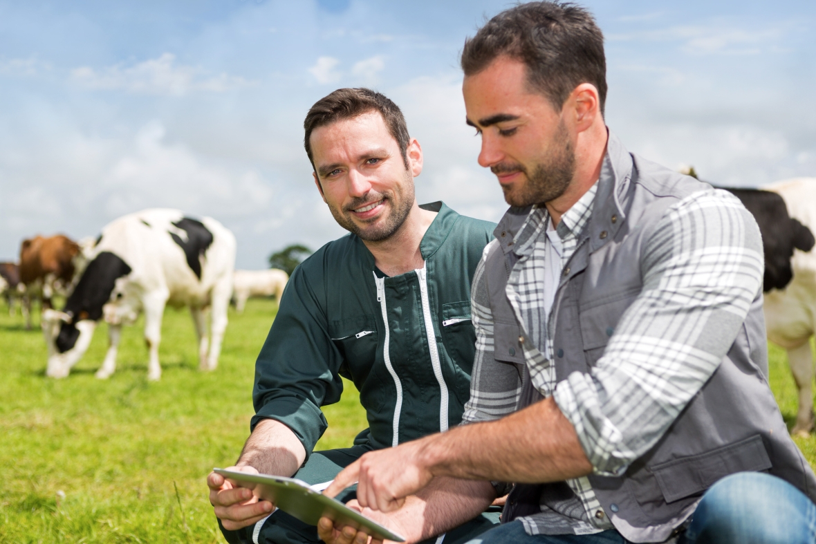 Farmer and consultant