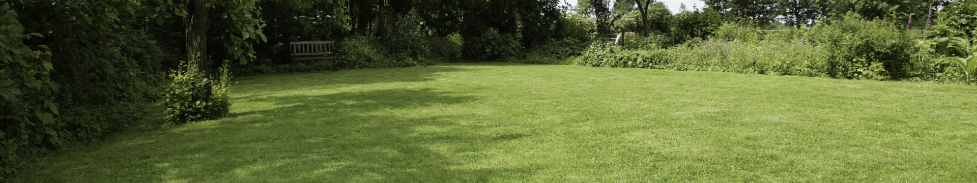 Lawn & public green