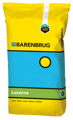 Packshot lucerne