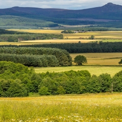 FarmingScotland