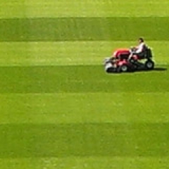Maintenance mowing